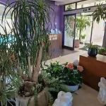 Lipa Hotel 4*